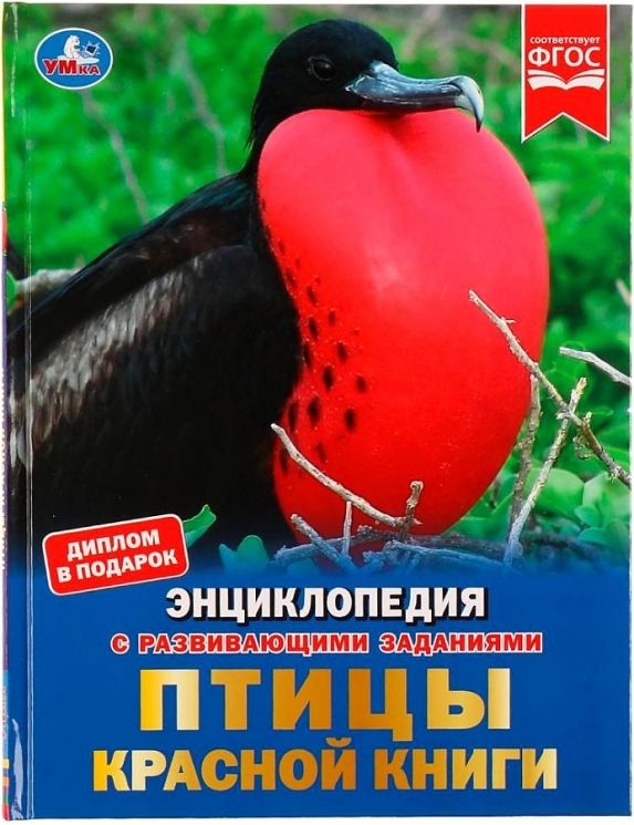 Птицы Красной книги. Энциклопедия с развивающими заданиями